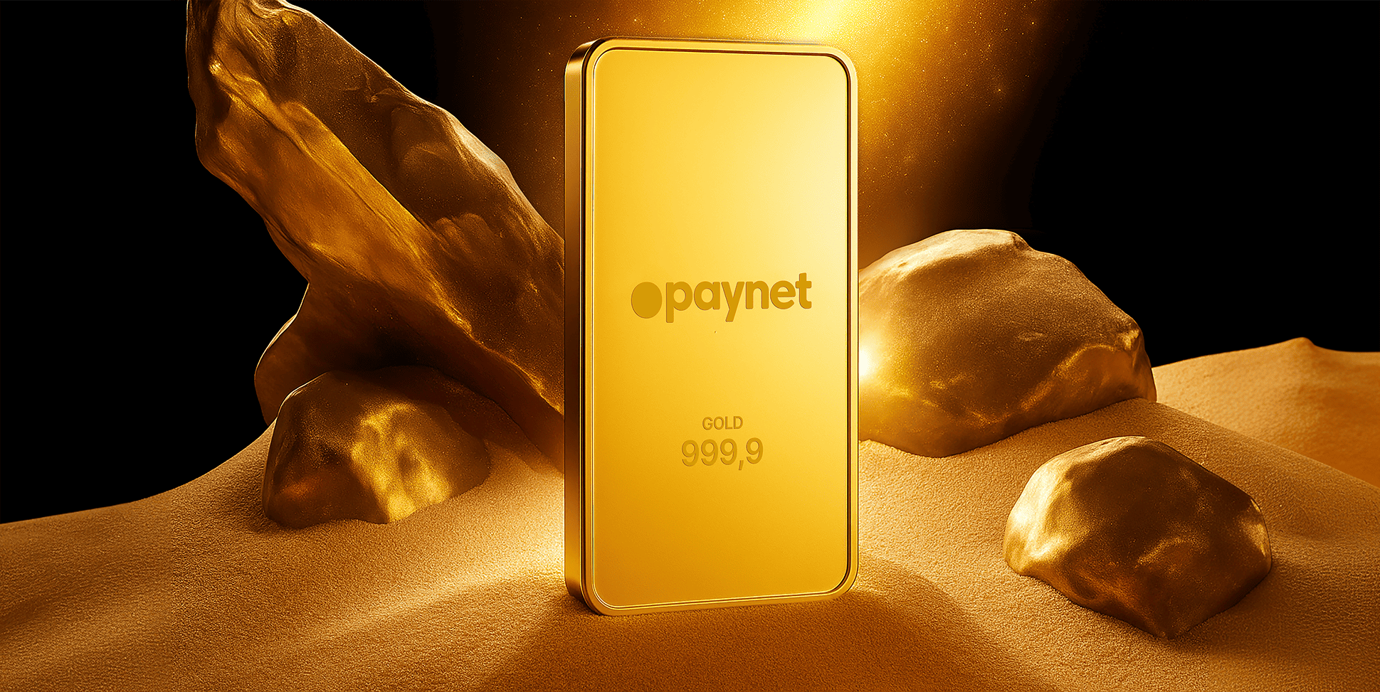 Paynet — original project image